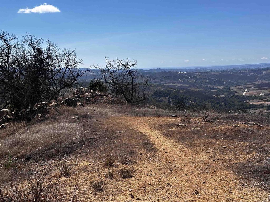 MLS #NDP2410175 image #5