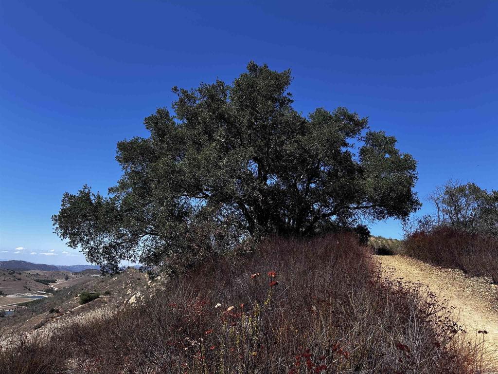 MLS #NDP2410175 image #6