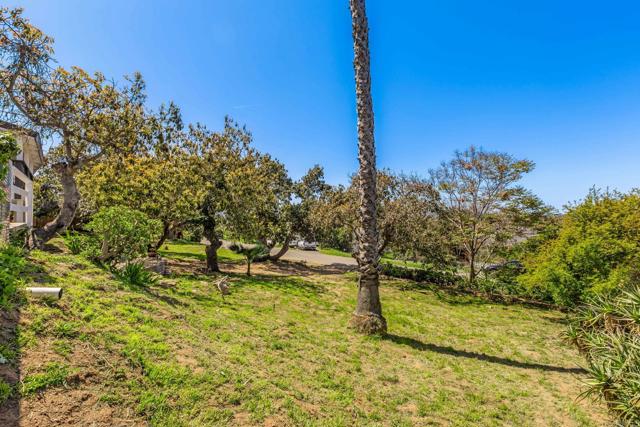 MLS #NDP2503375 image #24