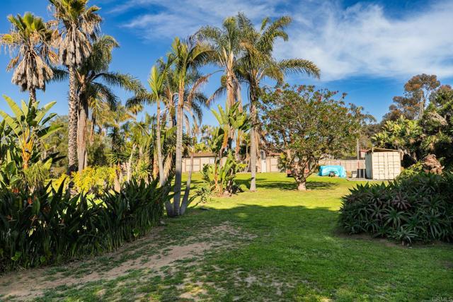 MLS #NDP2503765 image #26