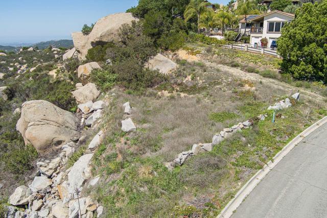 MLS #NDP2503868 image #4