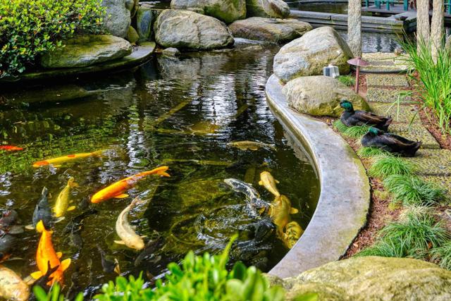 MLS #NDP2504936 image #34