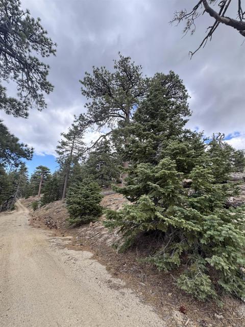 MLS #NDP2506335 image #10