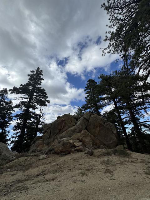 MLS #NDP2506335 image #11