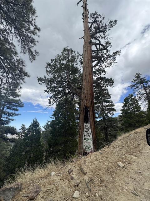 MLS #NDP2506335 image #15