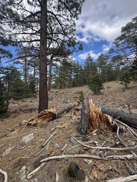 MLS #NDP2506335 image #16