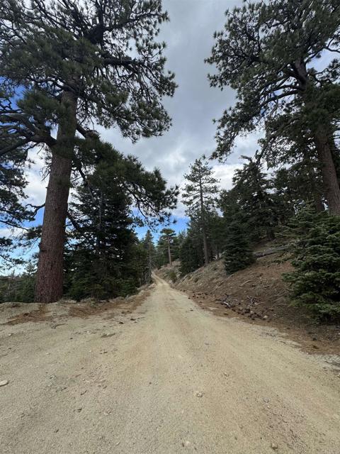 MLS #NDP2506335 image #18