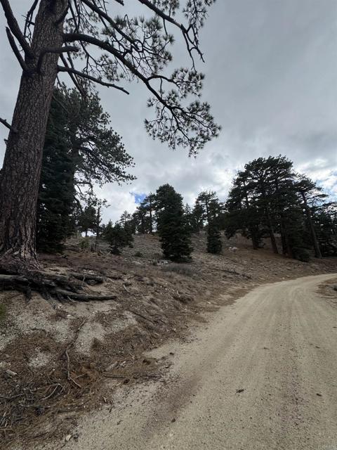 MLS #NDP2506335 image #19