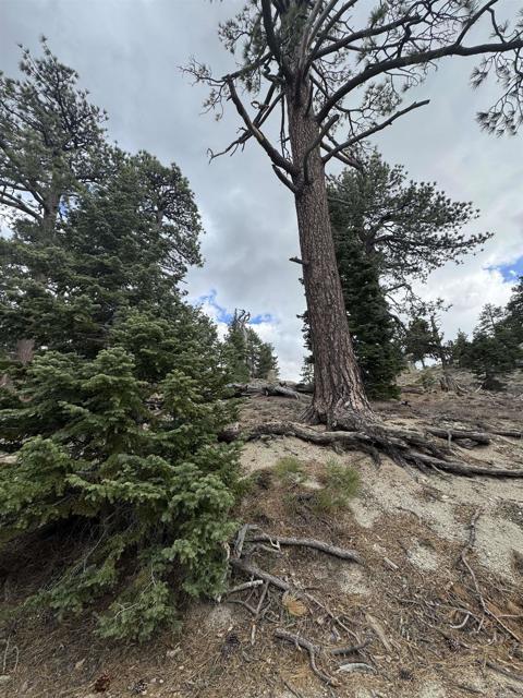 MLS #NDP2506335 image #20