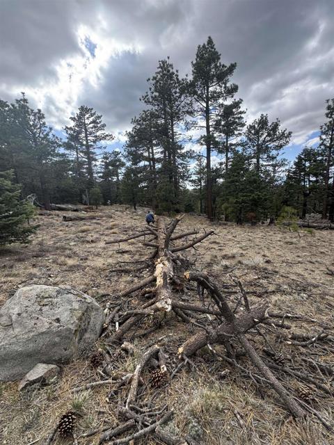 MLS #NDP2506335 image #21