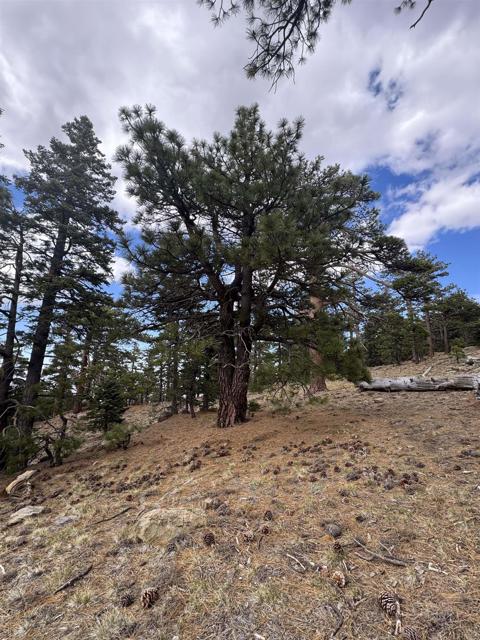 MLS #NDP2506335 image #22