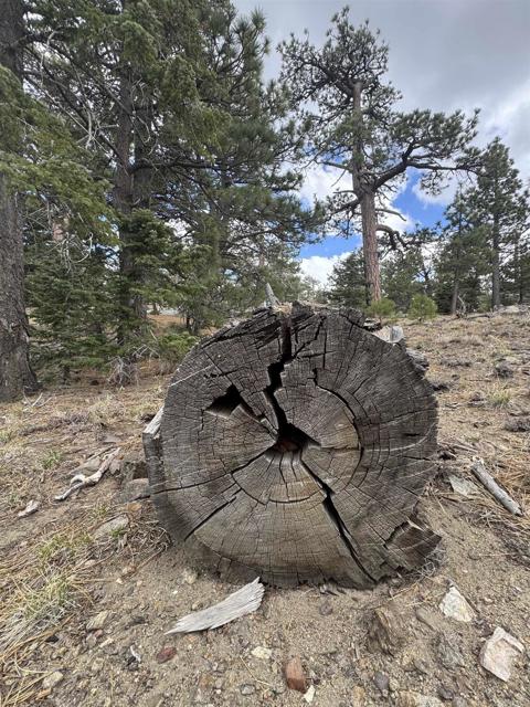 MLS #NDP2506335 image #23