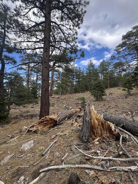 MLS #NDP2506335 image #24