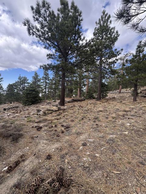 MLS #NDP2506335 image #25