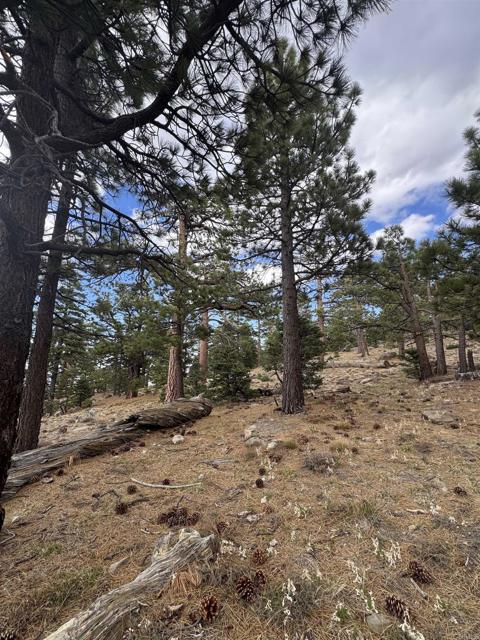 MLS #NDP2506335 image #26