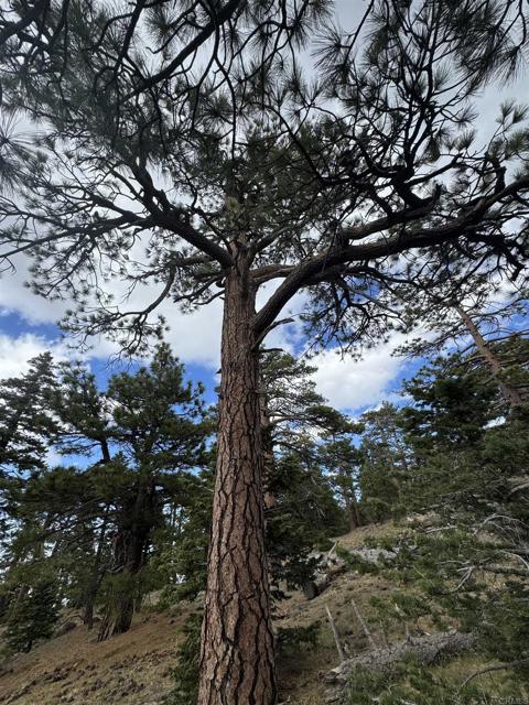 MLS #NDP2506335 image #28