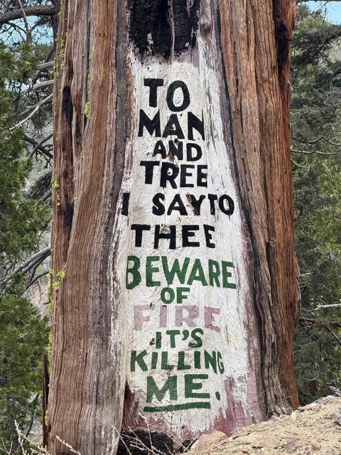 MLS #NDP2506335 image #29