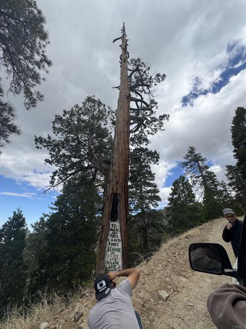 MLS #NDP2506335 image #30