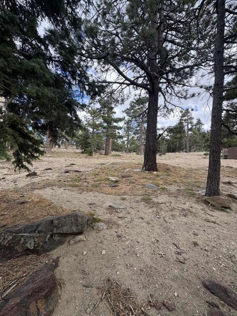 MLS #NDP2506335 image #31