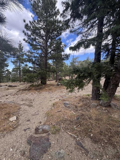 MLS #NDP2506335 image #32