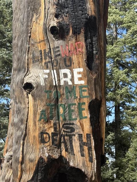 MLS #NDP2506335 image #33