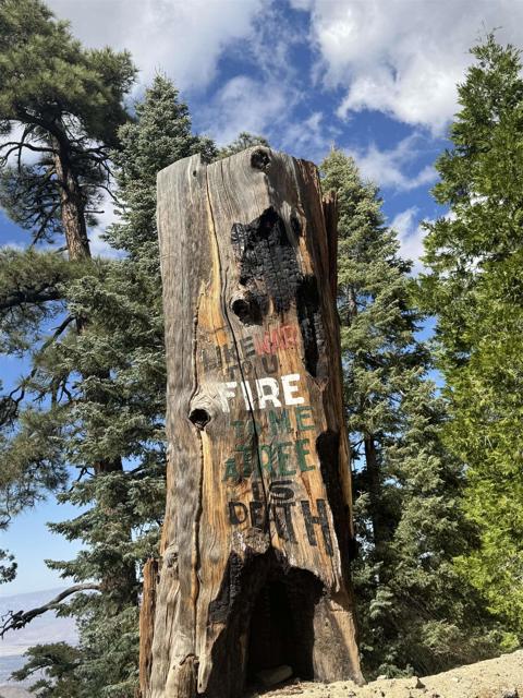 MLS #NDP2506335 image #34