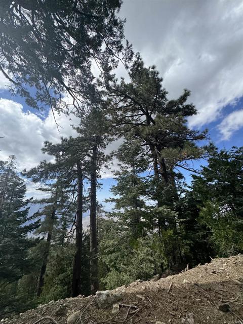 MLS #NDP2506335 image #37