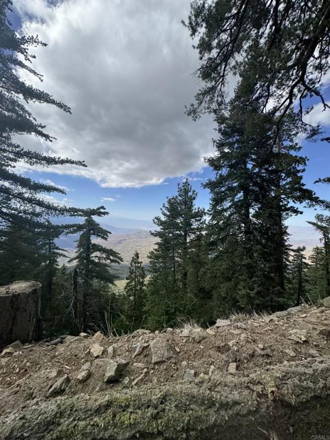 MLS #NDP2506335 image #38