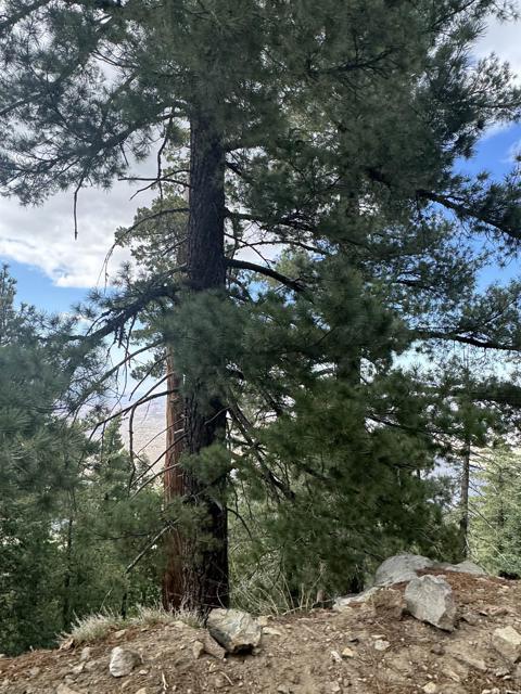 MLS #NDP2506335 image #39