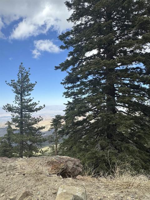 MLS #NDP2506335 image #42