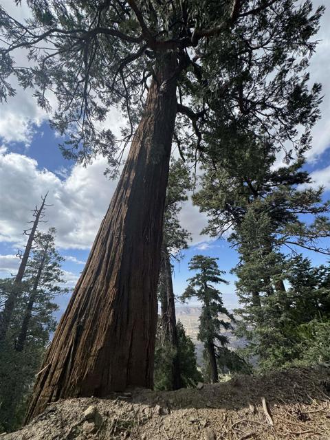 MLS #NDP2506335 image #43