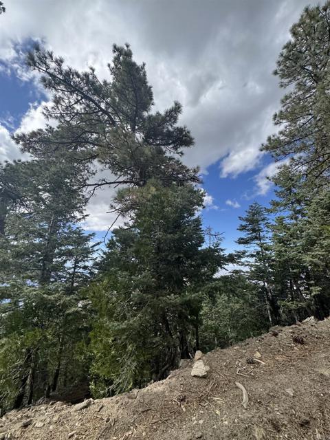 MLS #NDP2506335 image #45