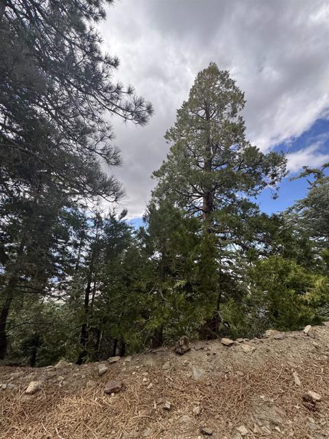 MLS #NDP2506335 image #46