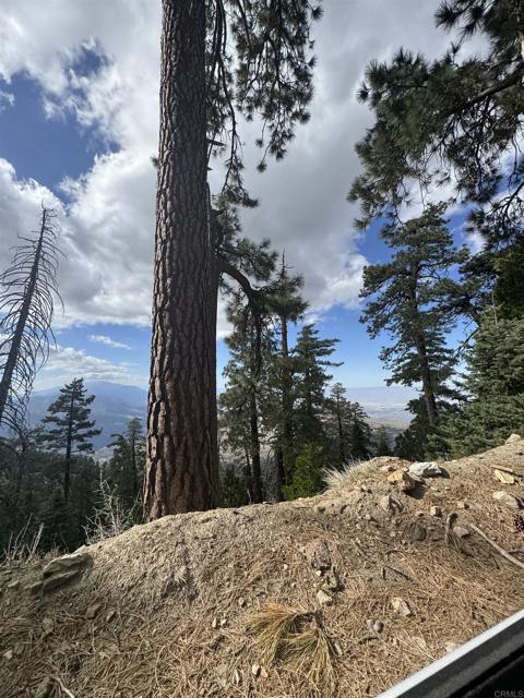 MLS #NDP2506335 image #49