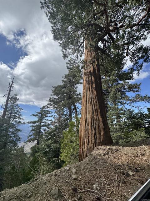 MLS #NDP2506335 image #50