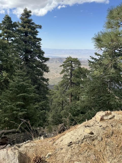 MLS #NDP2506335 image #51