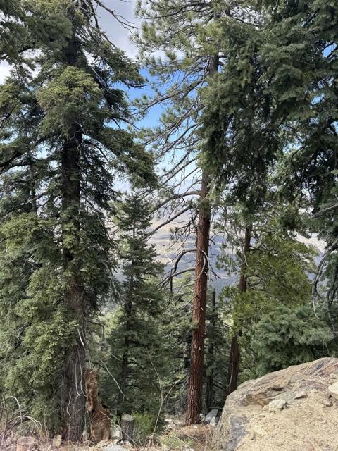 MLS #NDP2506335 image #52