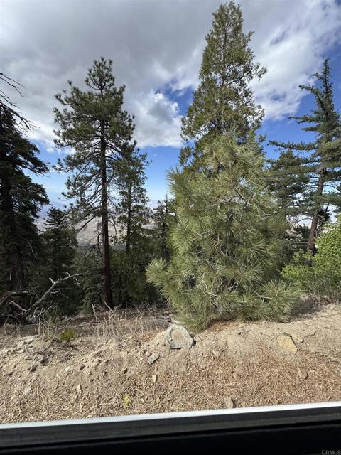 MLS #NDP2506335 image #53