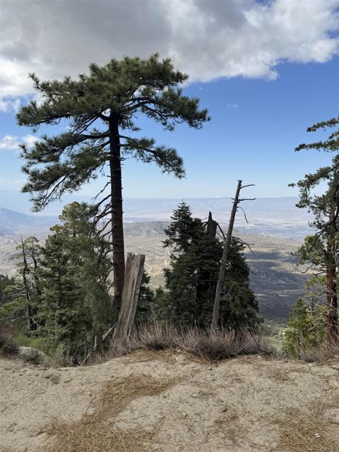 MLS #NDP2506335 image #54