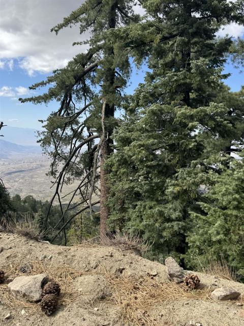 MLS #NDP2506335 image #55