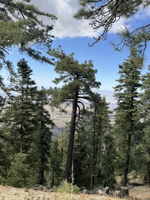 MLS #NDP2506335 image #56