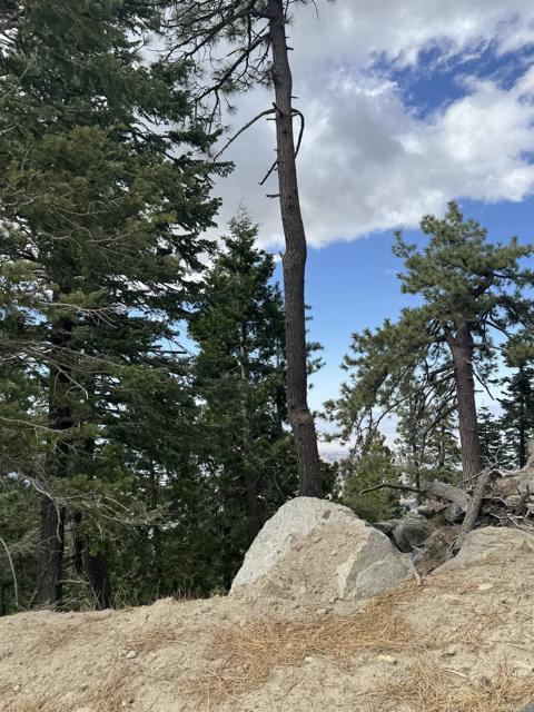 MLS #NDP2506335 image #58