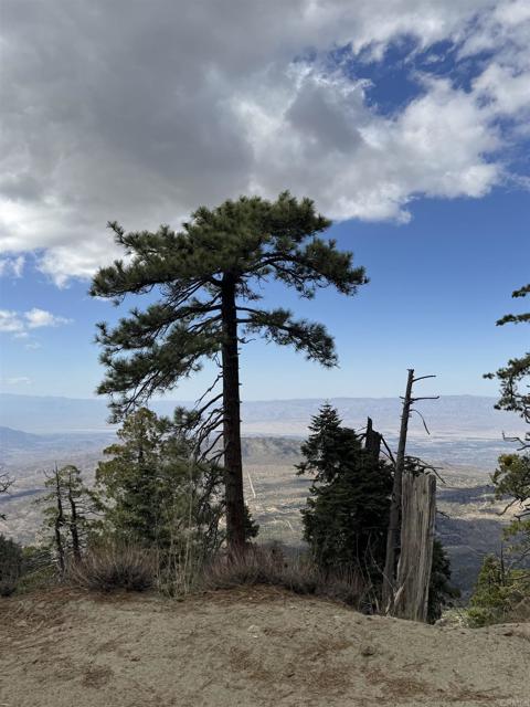 MLS #NDP2506335 image #59