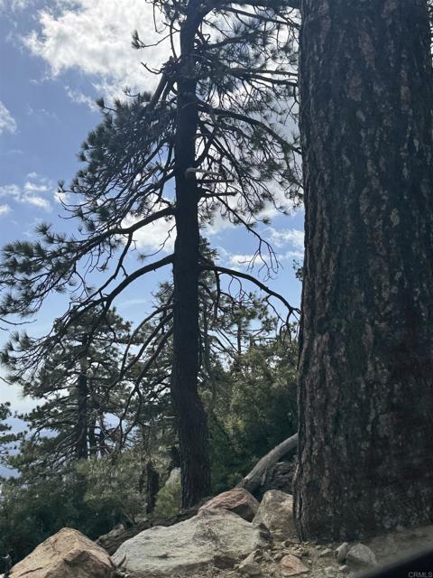 MLS #NDP2506335 image #62