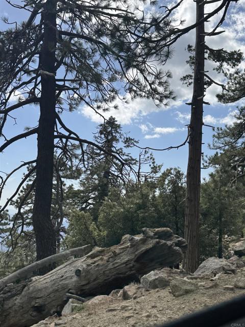 MLS #NDP2506335 image #63