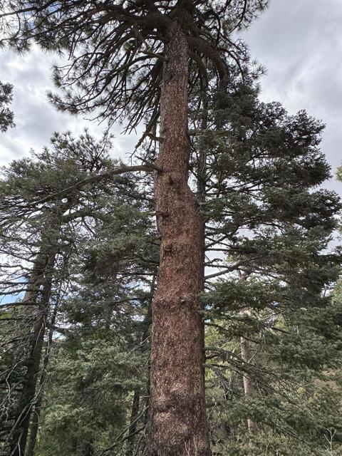 MLS #NDP2506335 image #65