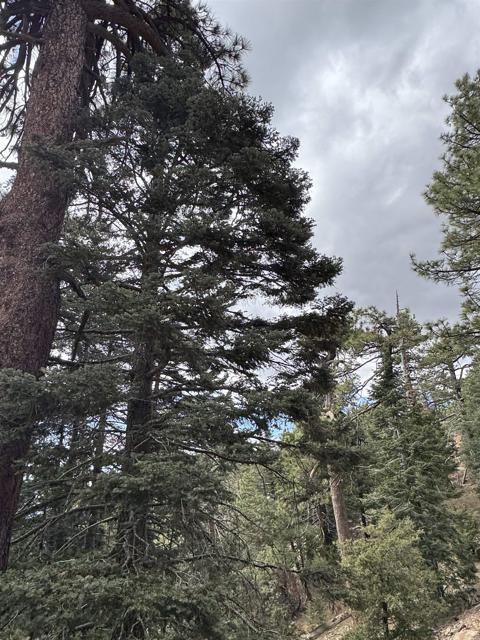 MLS #NDP2506335 image #66