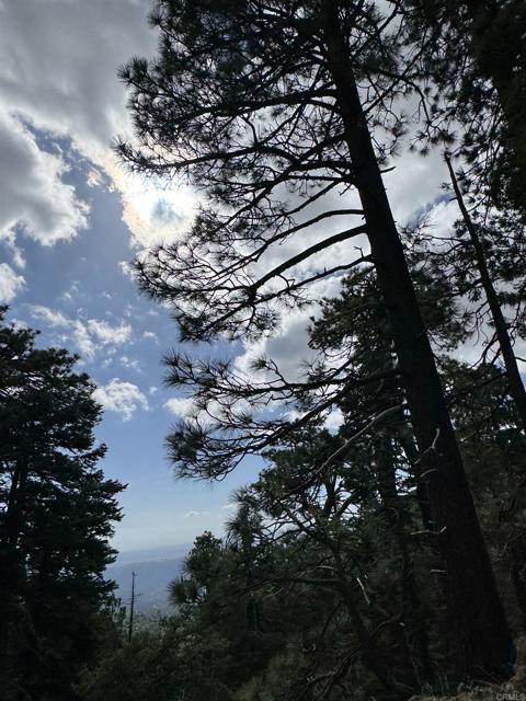 MLS #NDP2506335 image #67