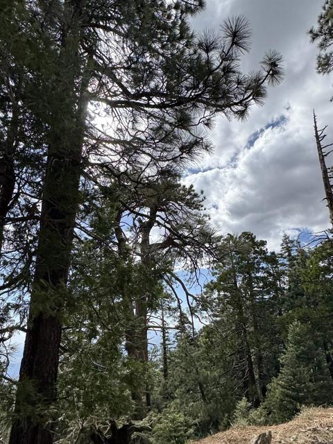 MLS #NDP2506335 image #68