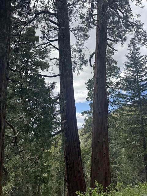 MLS #NDP2506335 image #69